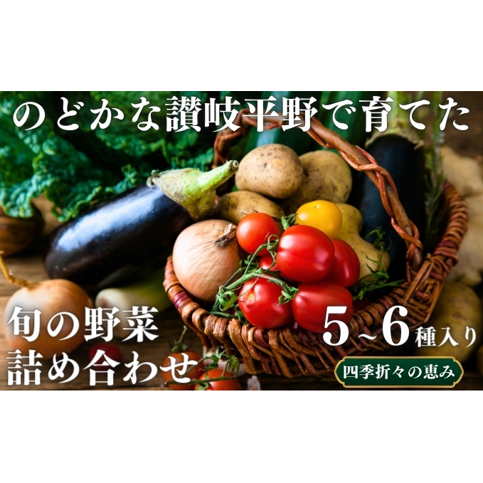 のどかな讃岐平野で育てた 旬の野菜 詰め合わせセット 今が旬 健康 野菜ボックス ヘルシー食材 トマト サツマイモ 新鮮 とれたて 季節 自家栽培 珍しい 美味しい たっぷり香川県丸亀市13000