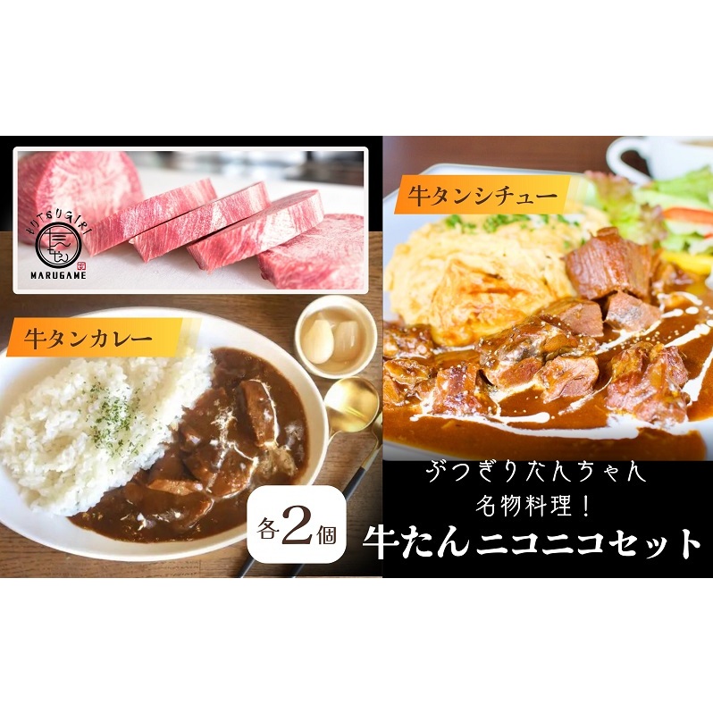 牛タン ニコニコ セット 牛タンシチュー + 牛タンカレー 各2袋 詰め合わせ ぶつぎりたんちゃん名物料理 シチュー カレー ビーフシチュー ビーフカレー 牛肉 牛 惣菜 スープ レトルトカレー