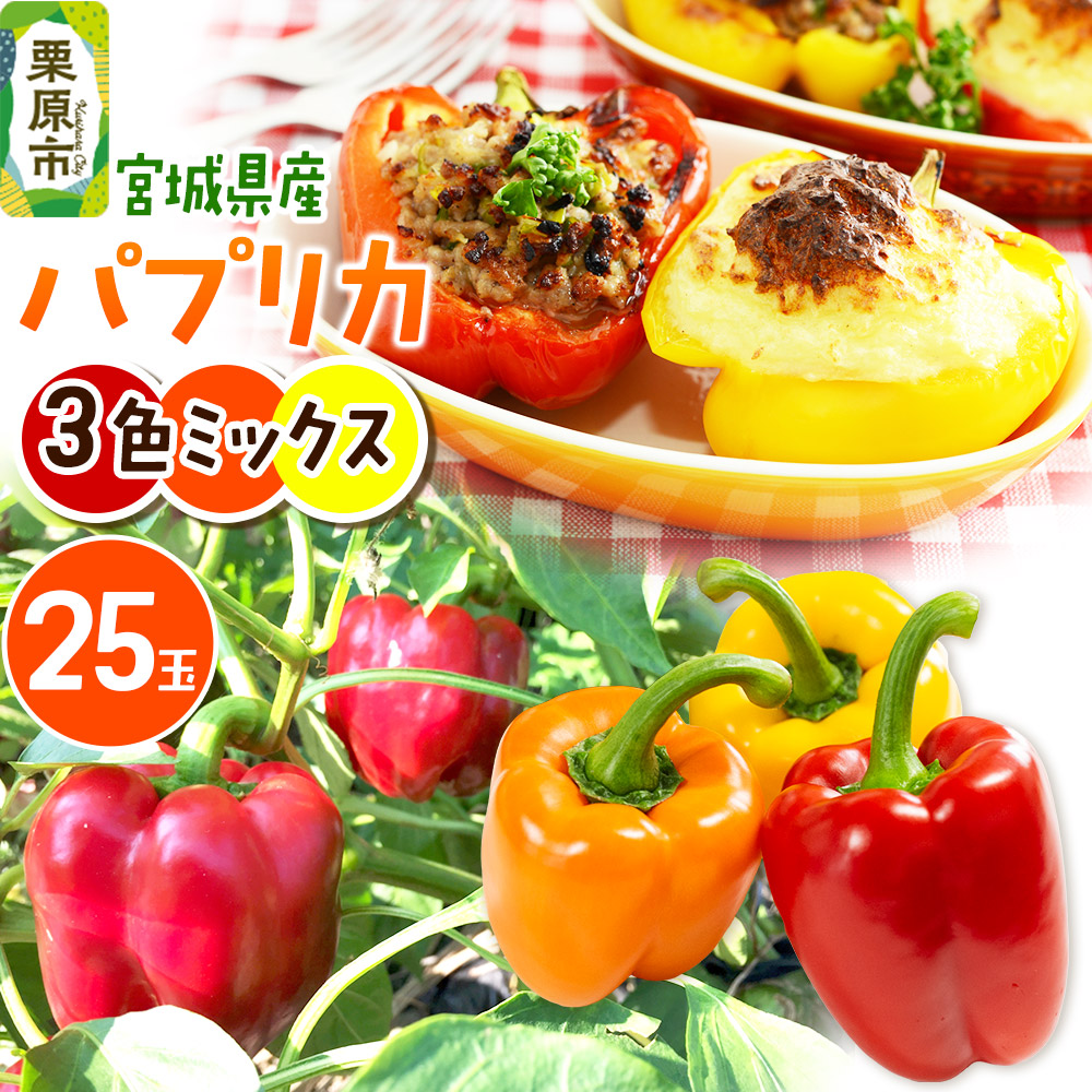 【新鮮・安全・安心 宮城県産パプリカ】3色MIX(赤黄橙)25玉詰め宮城県栗原市25000野菜・きのこその他 野菜