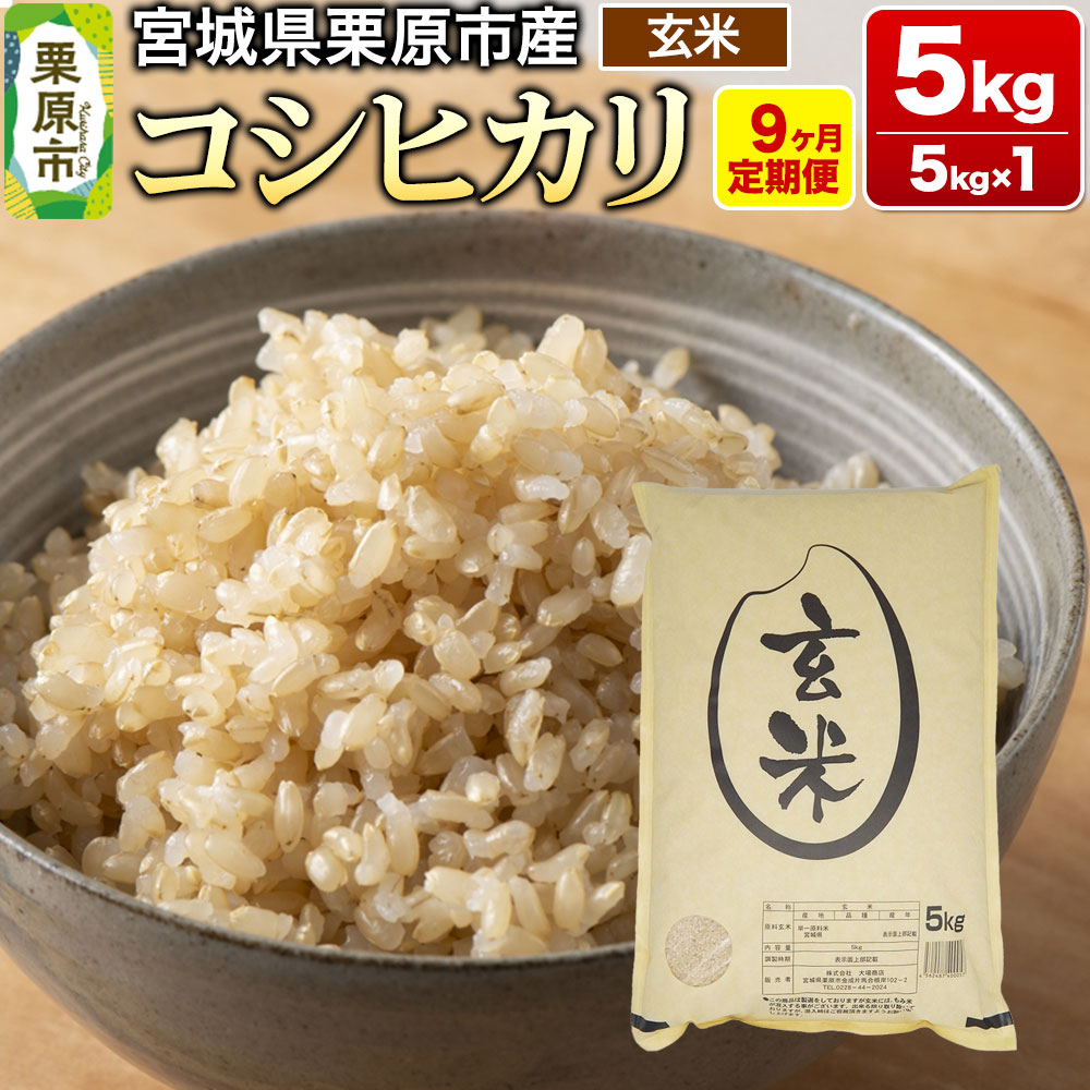 s9tyߘa7NYEāz{錧IY RVqJ 5kg (5kg×1)×9{錧Is164500āEpāEGāEāE