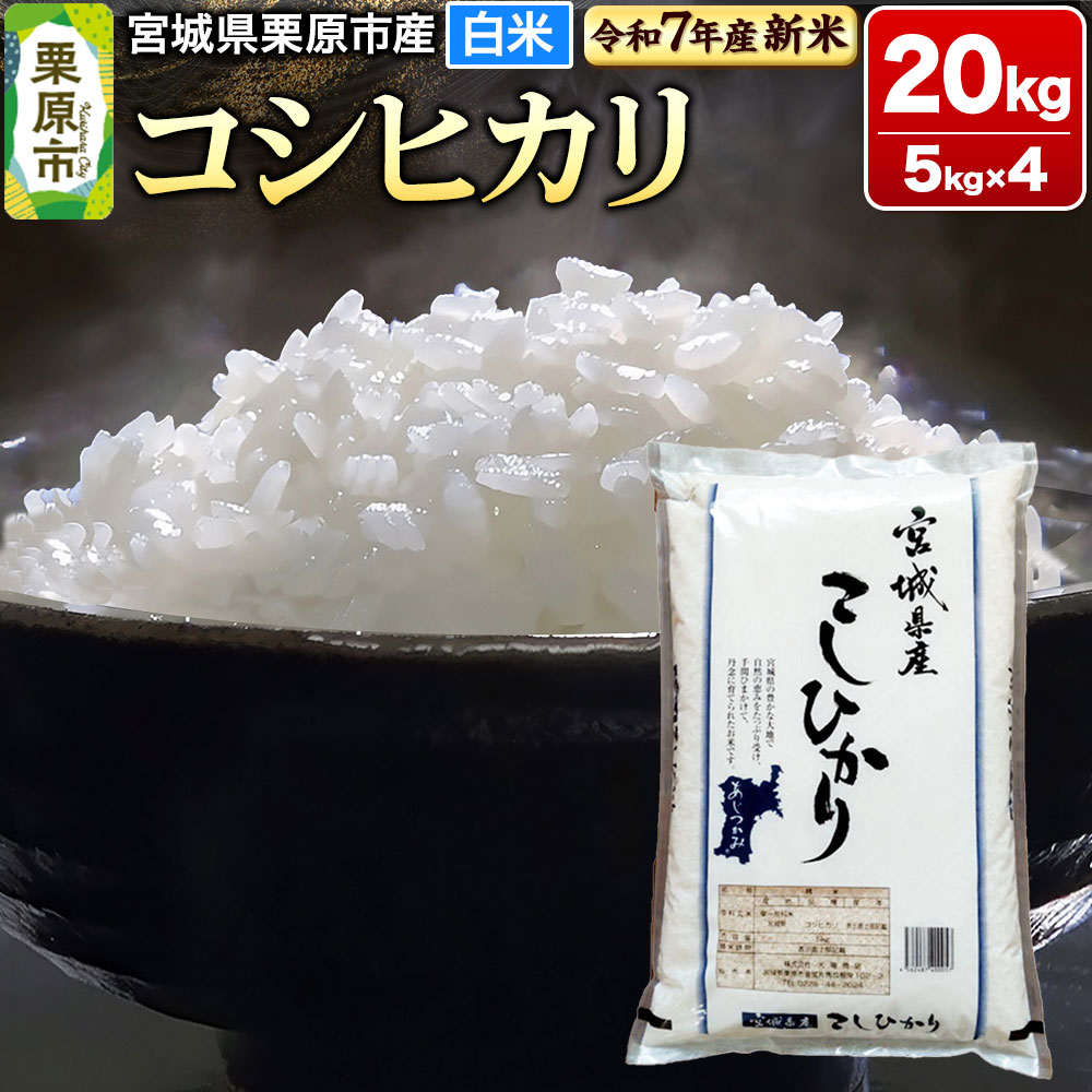 yVĎtzyߘa7NYEāz{錧IsY RVqJ 20kg (5kg×4){錧Is74000āEp