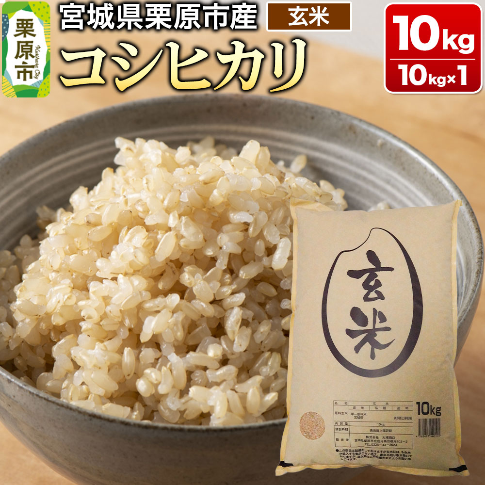 【令和7年産・玄米】宮城県栗原市産 コシヒカリ 10kg (10kg×1袋)宮城県栗原市38000米・パン玄米・雑穀米・もち米・餅