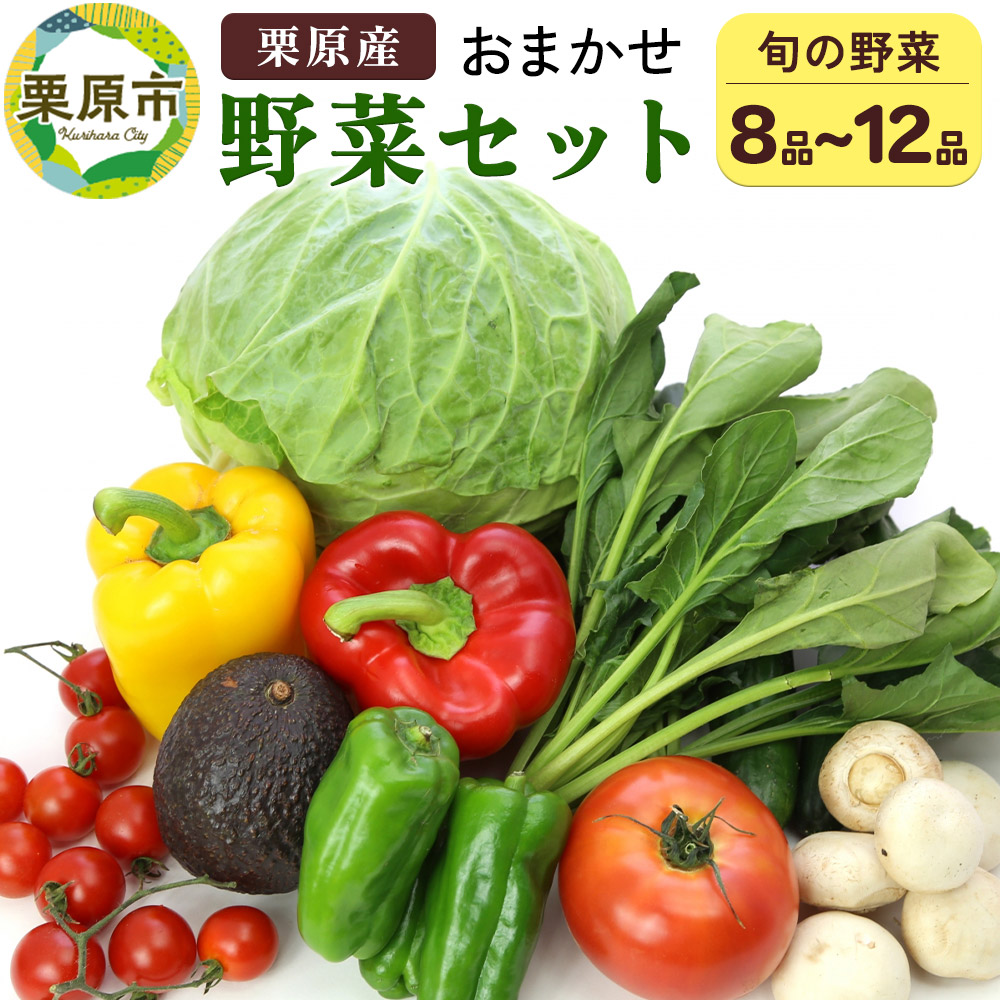 栗原産 お任せ野菜セット(8品〜12品)宮城県栗原市9500野菜・きのこその他 野菜