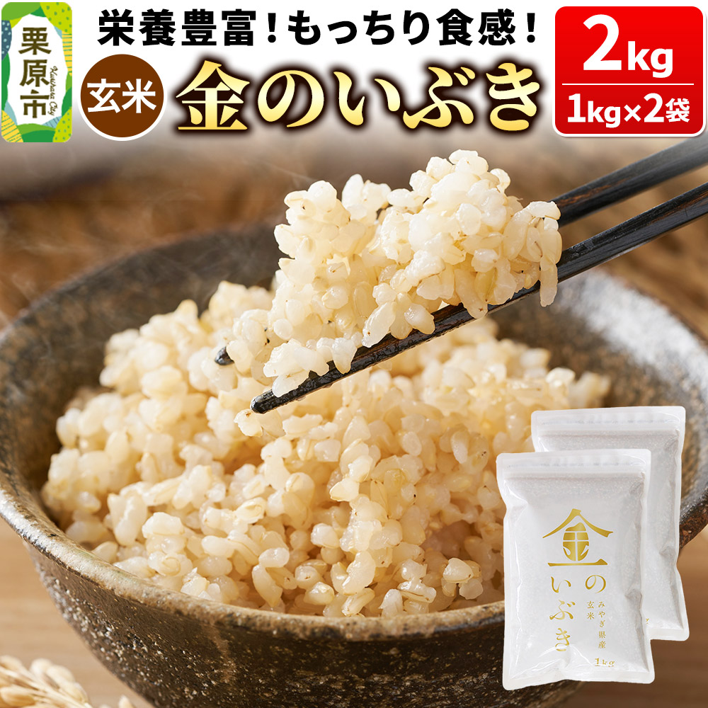 āyāẑԂ 2kgi1kg×2܁j{錧Is10500āEpāEGāEāE