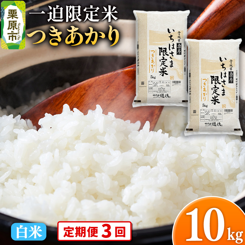 s3tyāzߘa7NY ꔗ  10kgi5kg×2܁j{錧Is91000āEp