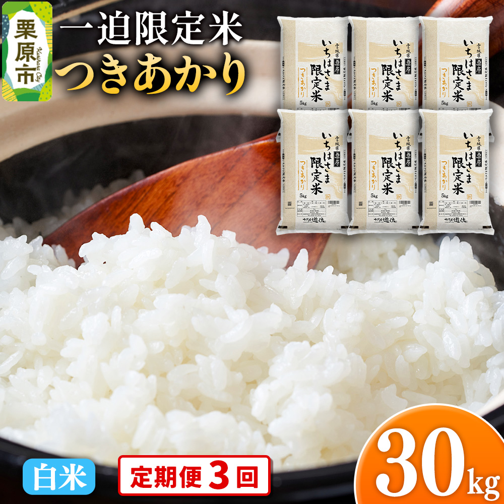 s3tyāzߘa7NY ꔗ  30kgi5kg×6܁j{錧Is264500āEp