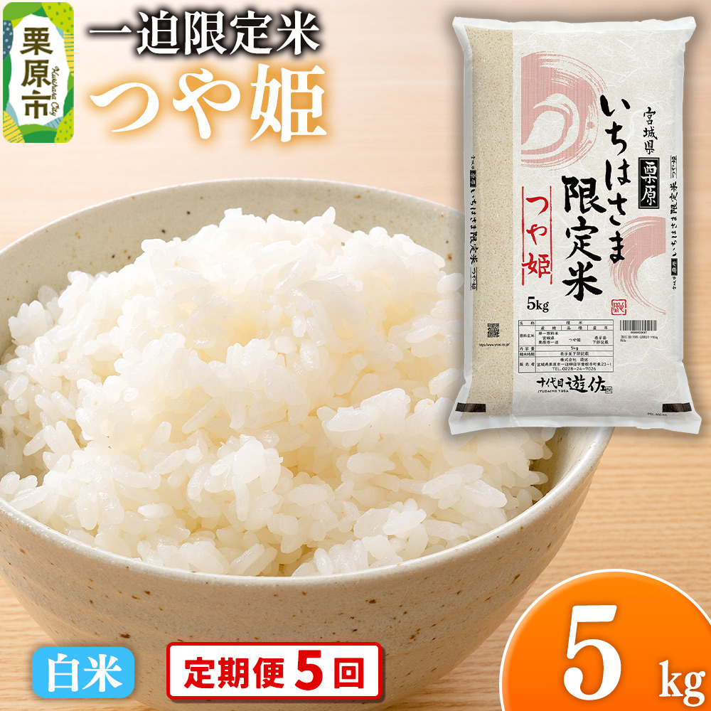 y5zyāzߘa7NY ꔗ P 5kg{錧Is80500āEp