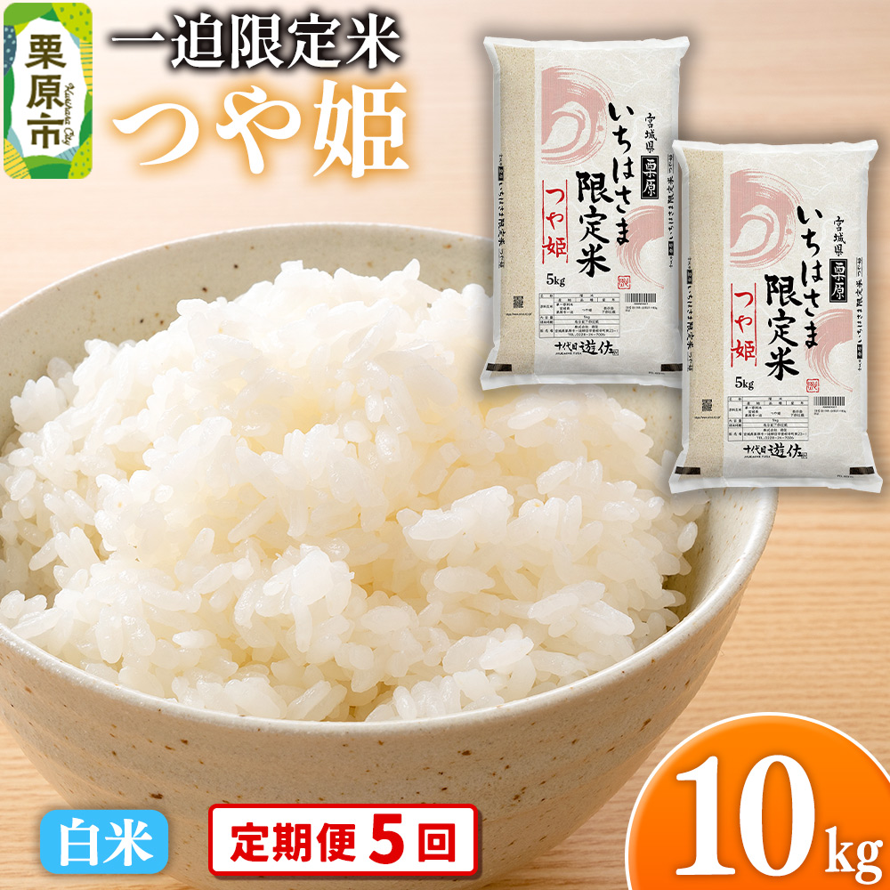 y5zyāzߘa7NY ꔗ P 10kgi5kg×2܁j{錧Is151500āEp