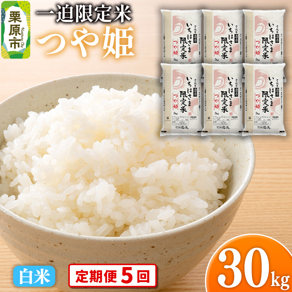 【定期便5回】【白米】令和7年産 一迫限定米 つや姫 30kg(5kg×6袋)宮城県栗原市441000米・パン白米