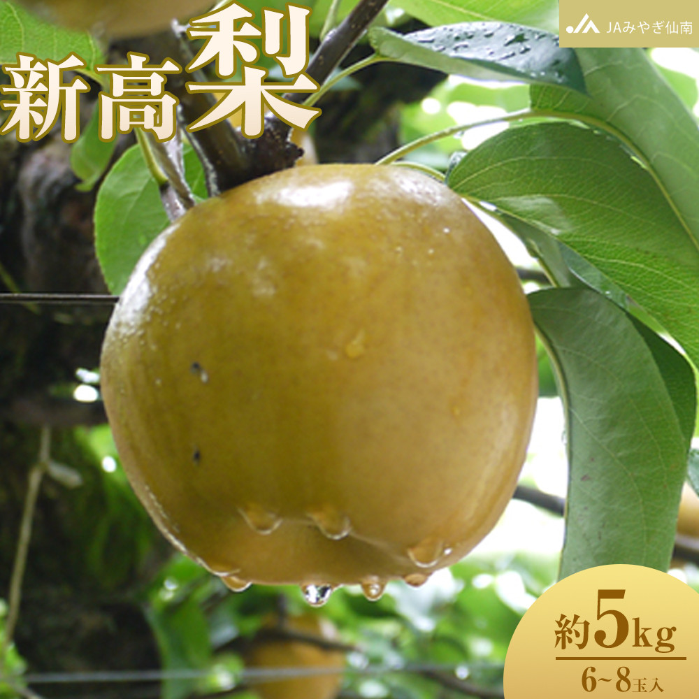 yJA݂€zuVv5kg (6`8ʓ){錧pcs15000ʕEt[c񂲁E