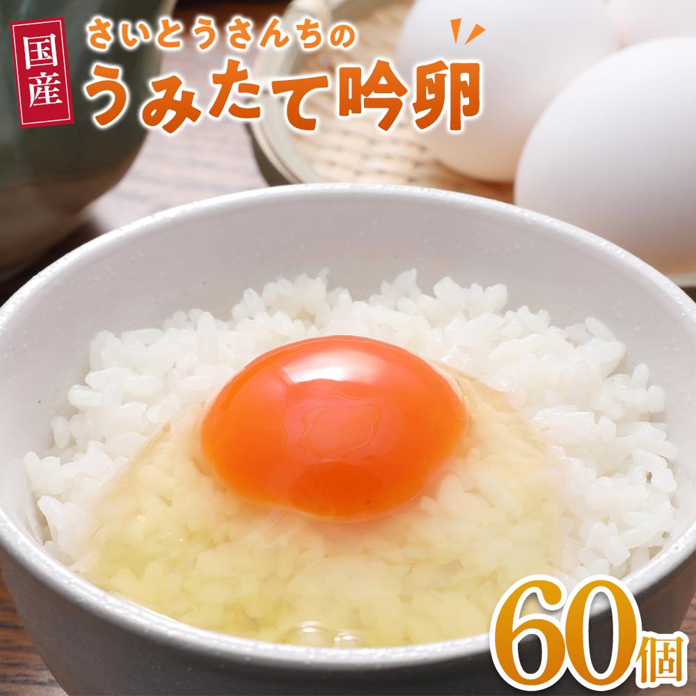 さいとうさんちのうみたて吟卵 60個入り宮城県角田市10000卵・乳製品卵(鶏、烏骨鶏等)