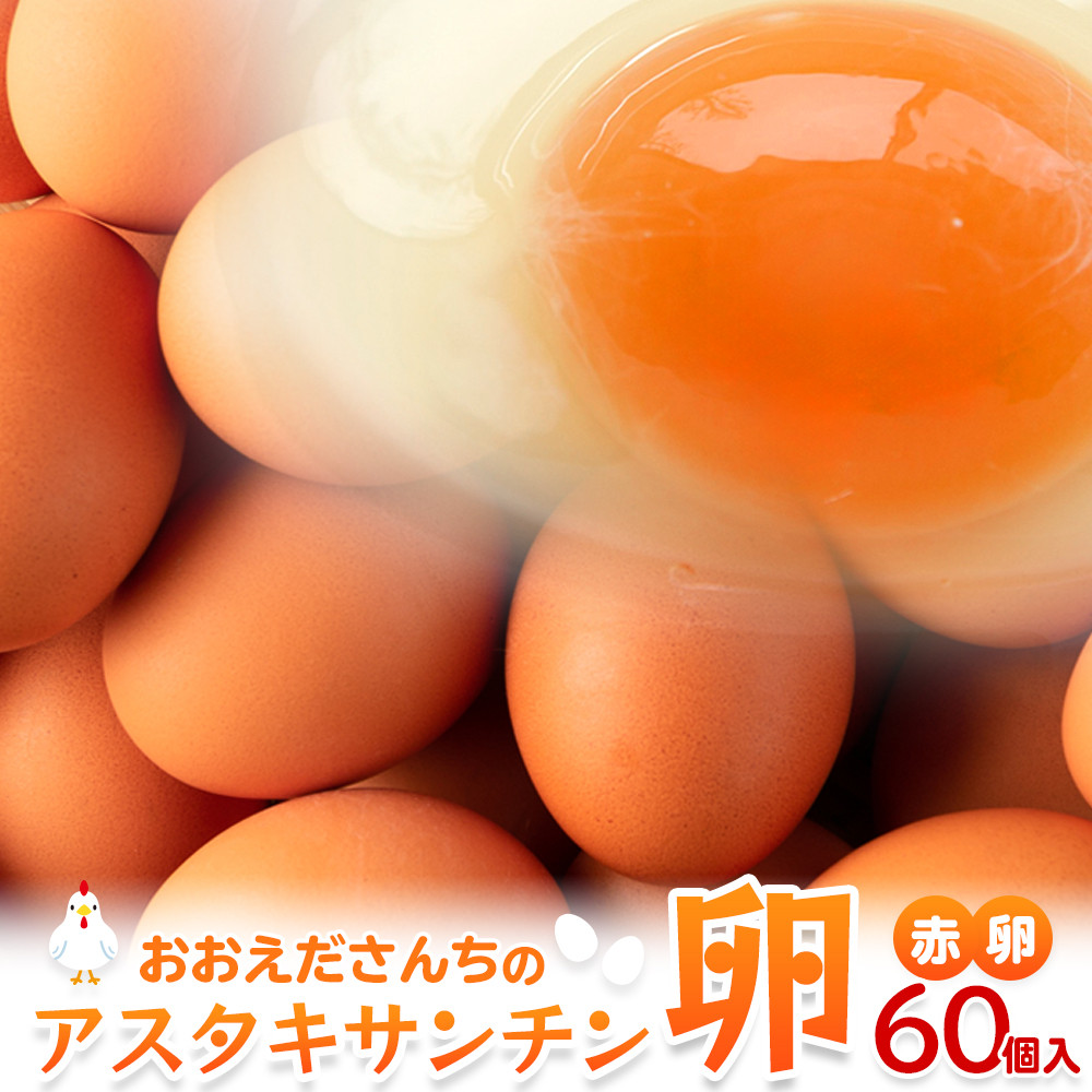 おおえだファーム アスタキサンチン卵(赤卵) Lサイズ 60個入り宮城県角田市12000卵・乳製品卵(鶏、烏骨鶏等)