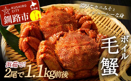 【浜茹で!】ボイル毛がに 2尾で900g前後 (北海道産/加工地 釧路)ふるさと納税 かに 蟹 _F4F-5339北海道釧路市40000魚介・海産物カニ