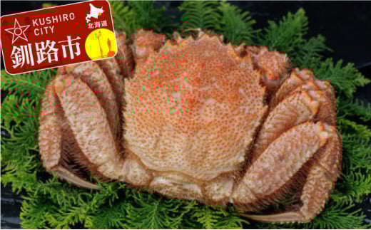 kCYE{CъI700`800g×1 ӂ邳Ɣ[  I _F4F-5467kCHs40000ECYJj