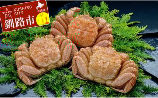 yl䥂ŁIz{CуKj1.5kg l߁iⓀj3 ӂ邳Ɣ[ I _F4F-5466kCHs72000ECYJj