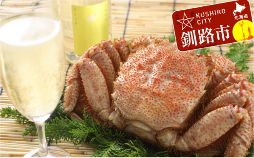 HiuXp[NOv500ml1{ {Cт600g ӂ邳Ɣ[   _F4F-5347kCHs40000EAR[{