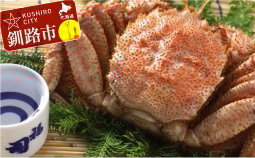 HiiC720mljƃ{Cт450g̃Zbg ӂ邳Ɣ[  I  _F4F-0535kCHs36000ECYJj