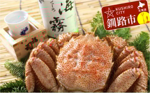 HuCvƖт400g̃Zbg ӂ邳Ɣ[   _F4F-0543kCHs24000EAR[{