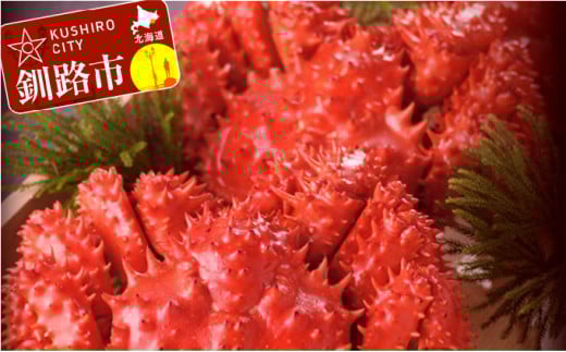 uVv{Cԍ炩(kCY) 2`3@䥂ŏ1.0kg _F4F-0678kCHs18000ECYJj