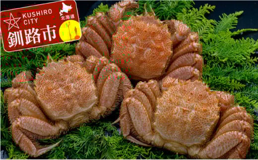 北海道産 ボイル毛蟹 3尾 1.0kg ふるさと納税 かに 蟹 _F4F-5332北海道釧路市44000魚介・海産物カニ