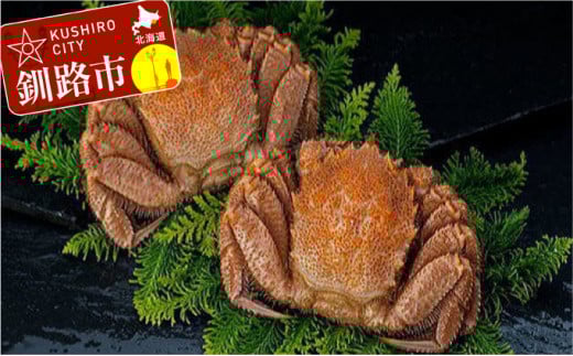 kCY{Cт 2 1.0kg ӂ邳Ɣ[ I _F4F-0691kCHs48000ECYJj