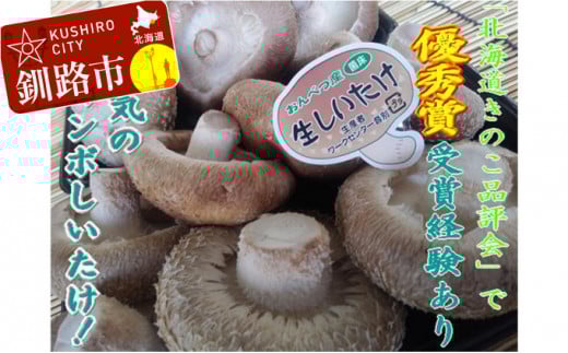 北海道音別産 菌床ジャンボ生しいたけ 280g×2パック しいたけ
