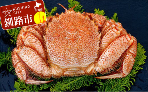 北海道産ボイル毛がに 1尾(800g) ふるさと納税 かに 蟹 _F4F-0903北海道釧路市36000魚介・海産物カニ