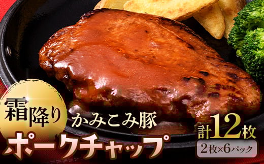 かみこみ豚のポークチャップ 200g×2枚×6パック 計12枚 合計 2.4kg 豚肉 豚丼 北海道  真空 豚 ポーク _F4F-2363北海道釧路市22000肉豚肉