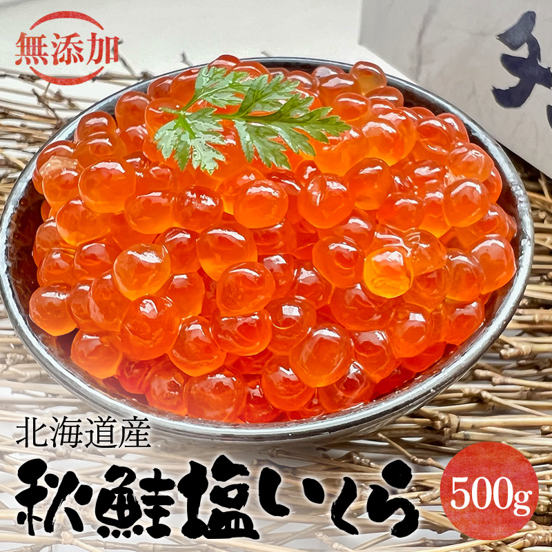 【無添加】北海道産 秋鮭 塩いくら500g いくら イクラ 鮭いくら 鮭イクラ 鮭 魚卵 魚 魚介 小分け 海鮮 北海道 F4F-2613北海道釧路市30000魚介・海産物いくら