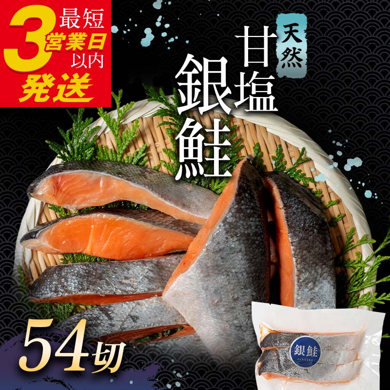 銀鮭 3切×18ハ?ック 計54切れ 朝ごはんやお弁当に 銀鮭 54切れ 真空保存 甘塩 天然 銀鮭 鮭 しゃけ サケ さけ ご飯のお供 朝食 真空 朝食 お弁当 おかず 小分け 通常発送 F4F-2856北海道釧路市54000