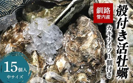 HǓYIktyyz15  _F4F-2987kCHs12000ECYL