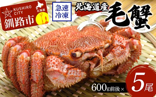 北海道産毛蟹600g前後×5尾 北海道 カニ 毛ガニ 毛蟹 かに かに味噌 急速冷凍 活蟹 活毛蟹 活毛ガニ _F4F-8648北海道釧路市168000魚介・海産物カニ