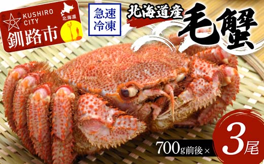 北海道産毛蟹700g前後×3尾 北海道 カニ 毛ガニ 毛蟹 かに かに味噌 急速冷凍 活蟹 活毛蟹 活毛ガニ _F4F-8652北海道釧路市126000魚介・海産物カニ