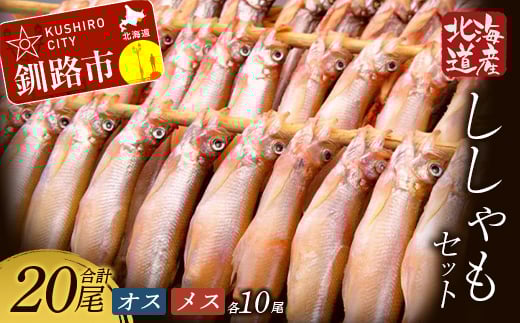 【オスメス食べ比べ】北海道産・ししゃもセット ふるさと納税 ししゃも _F4F-3597北海道釧路市18000魚介・海産物その他 魚介・海産物
