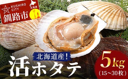 北海道産!活ホタテ5kg(15〜30枚) 北海道 ホタテ ほたて 帆立 帆立貝 海鮮 貝 活帆立 活ホタテ 生 殻付き _F4F-3873北海道釧路市42000魚介・海産物貝類