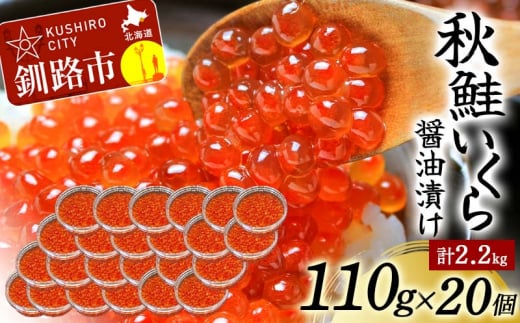 北海道産秋鮭いくら醤油漬け 110g×20個 計2.2kg 秋鮭 北海道 いくら イクラ 魚卵 魚介類 海鮮 小分け _F4F-4015北海道釧路市80500魚介・海産物いくら