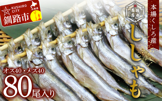 本場くしろ産 ししゃもオス・メス80尾入り! 本ししゃも 魚 ししゃも 魚好きのオス プチプチたまごのメス 魚介 グルメ シシャモ 北海道産 国産 魚 魚介 海の幸 _F4F-5542北海道釧路市60000魚介