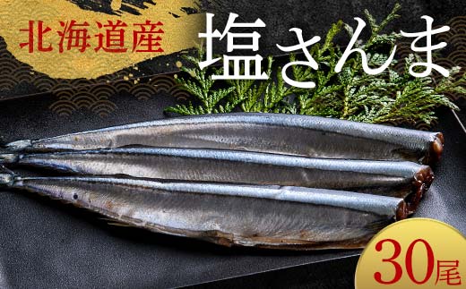 極上塩さんま30尾 3尾ごとの真空保存 さんま 焼き魚 魚 海鮮 鮮魚 北海道 ご当地グルメ 漬け魚 _F4F-8107北海道釧路市24000魚介・海産物その他 魚介・海産物
