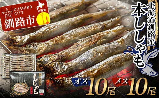 本ししゃも オス10尾・メス10尾 釧路産 本ししゃも 魚 ししゃも 魚好きのオス プチプチたまごのメス 魚介 グルメ シシャモ 北海道産 国産 魚 魚介 海の幸 _F4F-8433北海道釧路市13000魚介・海産