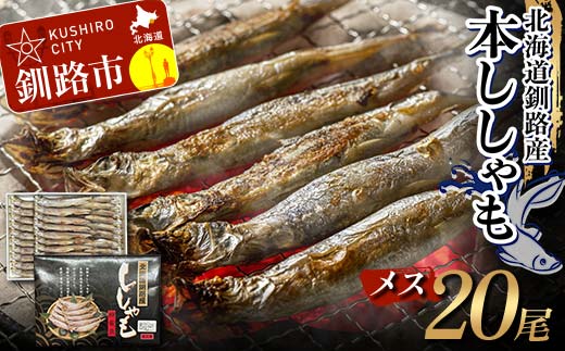 本ししゃも メス20尾 釧路産 本ししゃも 魚 ししゃも プチプチたまごのメス 魚介 グルメ シシャモ 北海道産 国産 魚 魚介 海の幸 _F4F-8436北海道釧路市14000魚介・海産物その他 魚介・海産物