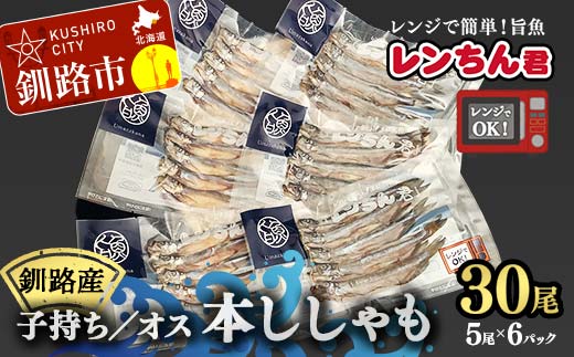 レンちん君釧路産本ししゃもセット シシャモ 冷凍 魚 海産物 一夜干し 北海道 _F4F-8446北海道釧路市47500魚介・海産物その他 魚介・海産物