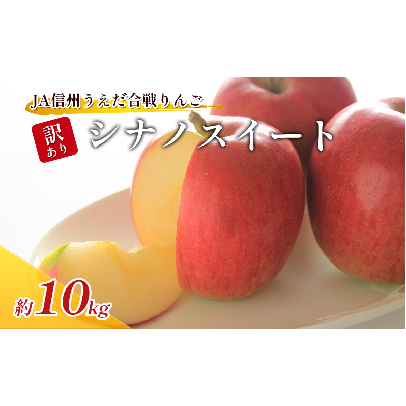 訳あり りんご JA信州うえだ 合戦りんご シナノスイート 約10kg リンゴ 林檎 果物 くだもの フルーツ 信州 長野 離乳食 訳アリ わけあり 傷長野県上田市21000果物・フルーツりんご・梨