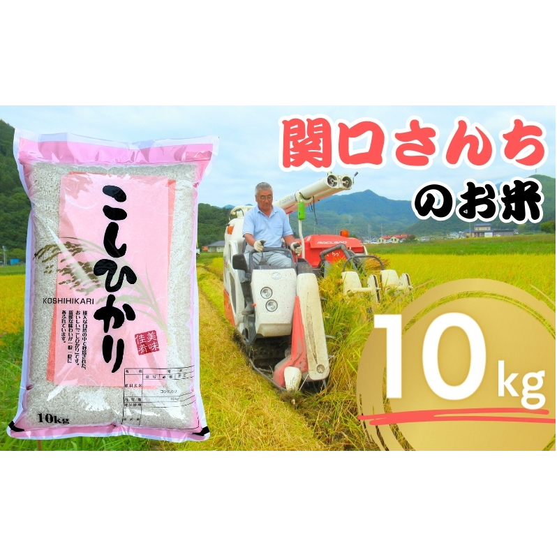  ߘa7NY ֌񂿂̂ RVqJ 10kg   R    Ђ  MB쌧cs32000āEp