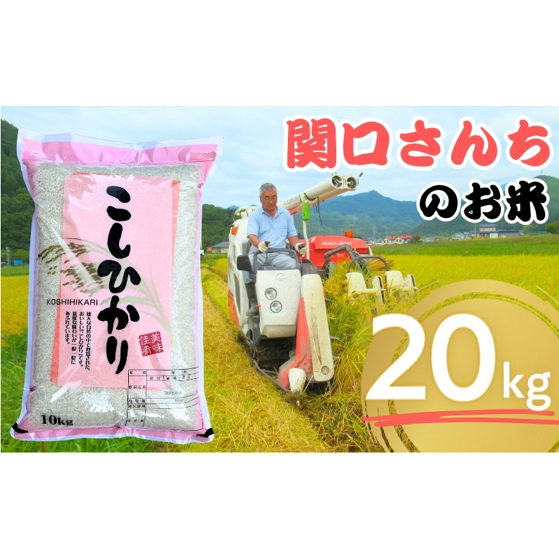  ߘa7NY ֌񂿂̂ RVqJ 20kg   R    Ђ  MB쌧cs64000āEp