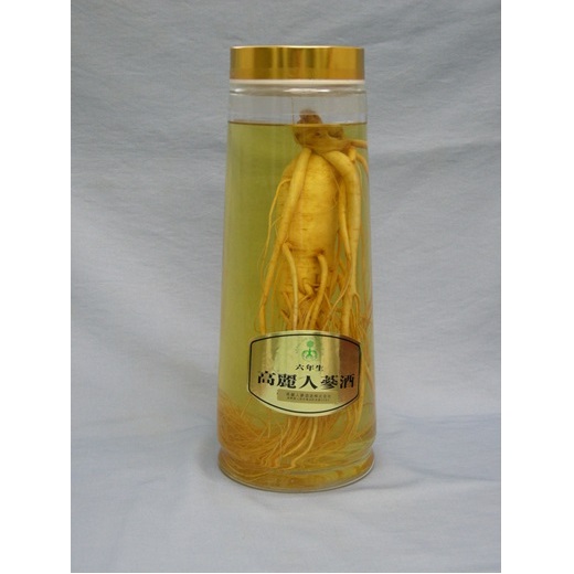 高麗人参酒 標本 美容 特産 6年 特大 人参入り 熟成 高麗人参 健康食品 健康 疲労回復 血行 改善 食品 お酒 酒 アルコール 六年生 人参 薬膳 長野 信州長野県上田市173000野菜・きのこ大根・ニ