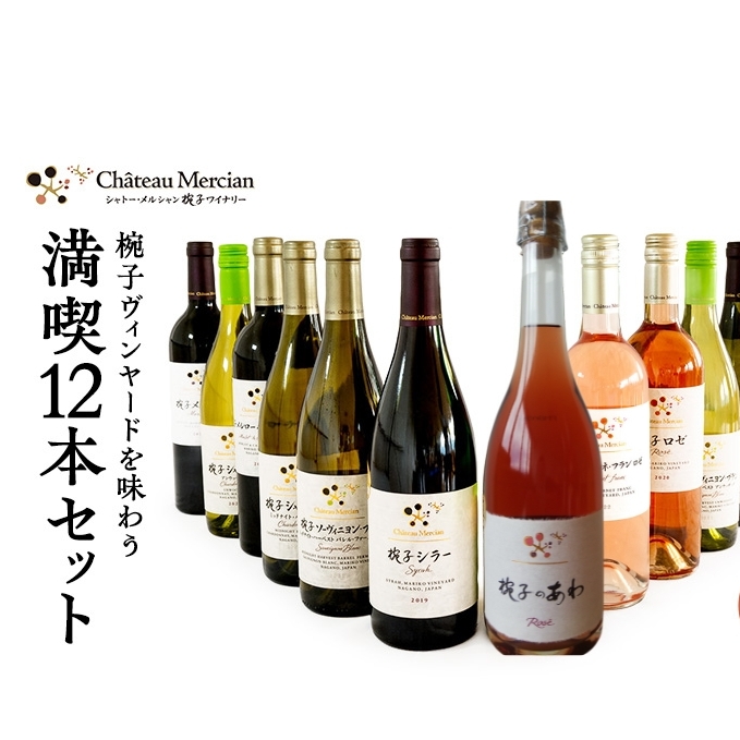 ワイン 椀子ヴィンヤードを味わう満喫 12本 セット 750ml シャトー・メルシャン 赤ワイン フルボディ 白ワイン 辛口 お酒 酒 アルコール 飲み比べセット ギフト 贈り物 プレゼント長野県上田