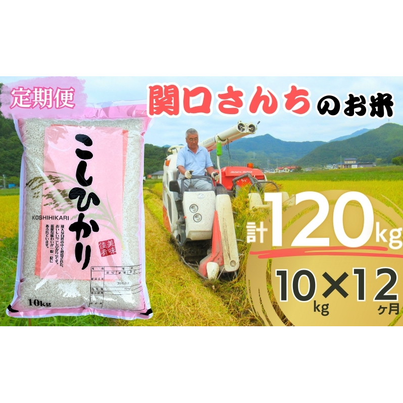 u֌񂿂̂āvRVqJ10kg 12֒쌧cs384000āEp