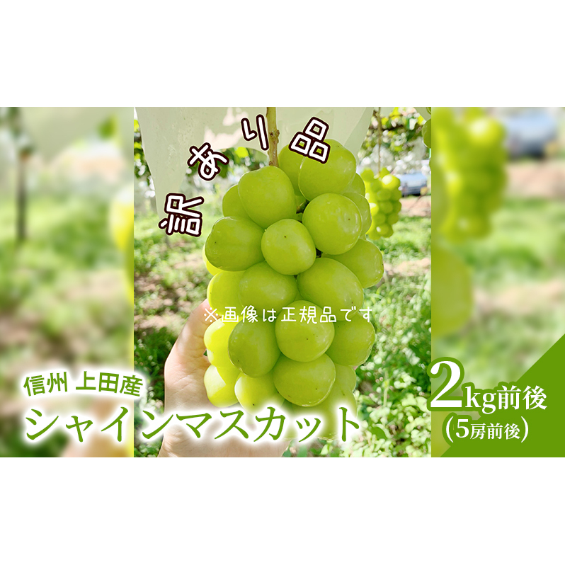 訳あり シャインマスカット 2kg前後 4房前後 ぶどう 葡萄 ブドウ マスカット 2kg 果物 くだもの フルーツ デザート 旬の果物 旬のフルーツ 訳アリ 長野県 長野長野県上田市17500果物・フルーツ