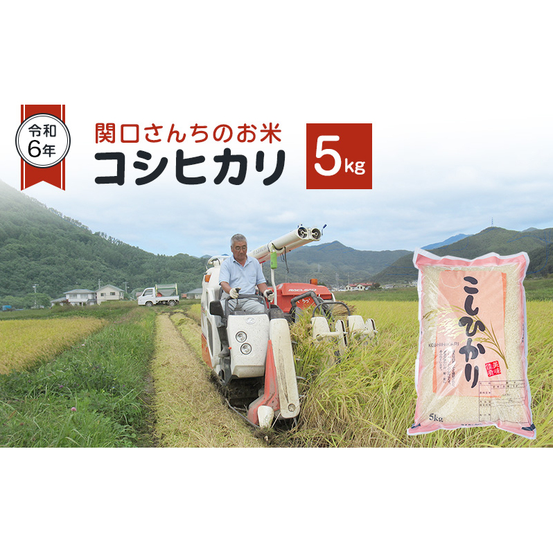 米 令和7年 関口さんちのお米 コシヒカリ 5kg お米 こめ コメ 精米 白米 ご飯 こしひかり 長野 信州長野県上田市16000米・パン白米