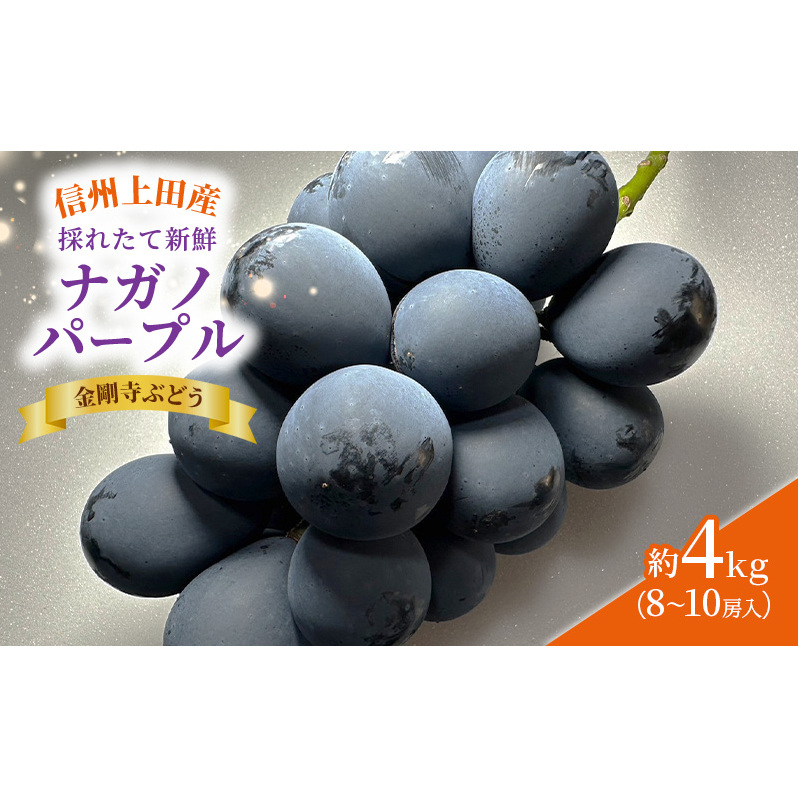 ナガノパープル 信州上田産金剛寺ぶどう 約4kg 8〜10房 ぶどう 葡萄 ブドウ 長野パープル 4kg 果物 くだもの フルーツ デザート 旬の果物 旬のフルーツ 長野県 長野長野県上田市86000果物・フル